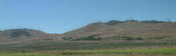 Intrusive, inelegant, inadequate and in the US. Intrusive, inelegant, inadequate and in the UK next?