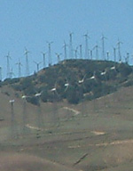 Intrusive, inelegant, inadequate and in the US. Intrusive, inelegant, inadequate and in the UK next?